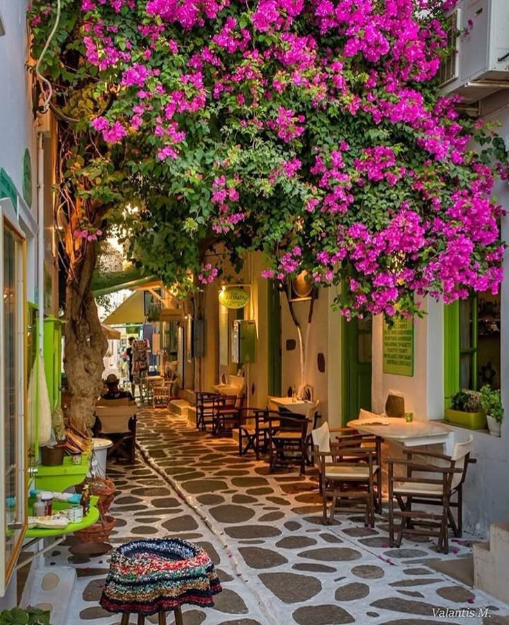 Sophia56891's tweet photo. 💞🕊
@Sophia56891 
@MrMrnagah 
@Saleh_talleb
@EDSGALO7
@bn_ly4490
@Sc2017W
@7OOOOJ
@goldisez
@sohoffx
@zzcc129
@pri_n07 
@ns_fzh 
@xKaprice
@Zerbear102
@terrazas_sally
@ADA_only_ADA
@Maddy1488901
@BTC_Chopsticks
@ZeroBarkThirty2
@CarlosOchoa_G2
@CarlosR28356381
@DeepakS03051931 https://t.co/XeeszKhaBC