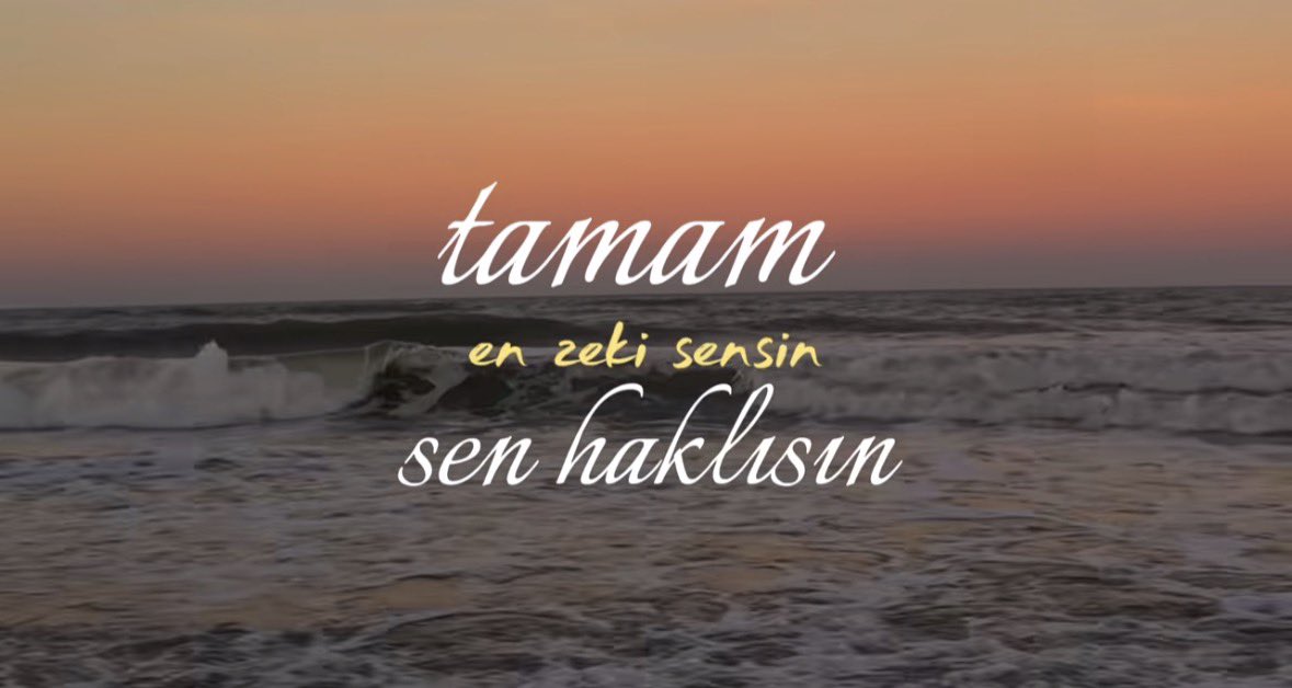 nısa tweet media