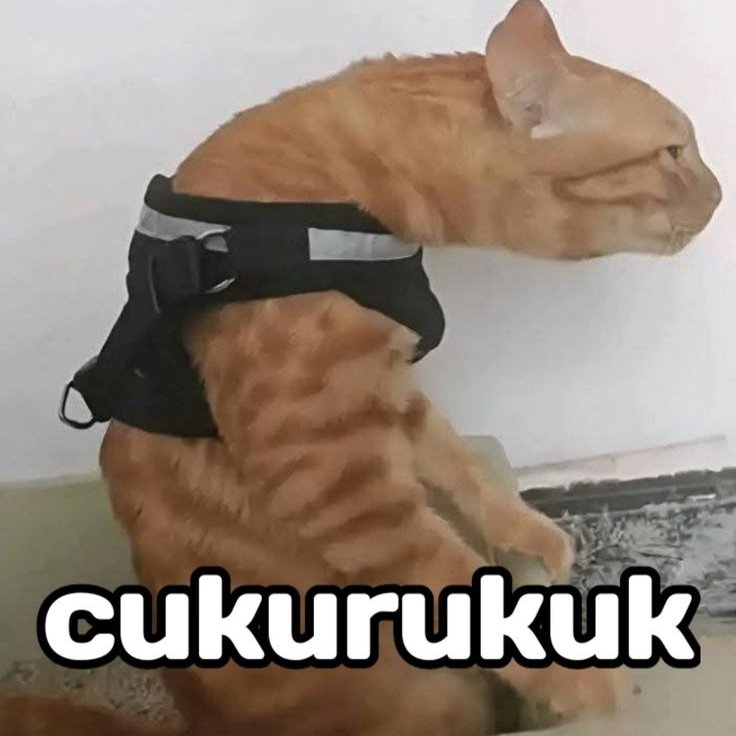 thatonecoded's tweet photo. AHAHAHAHA KONO CUKURUKUK https://t.co/ZLUmyOkUu6