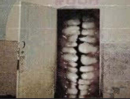 Ryan Ross Toothy Hole tweet media