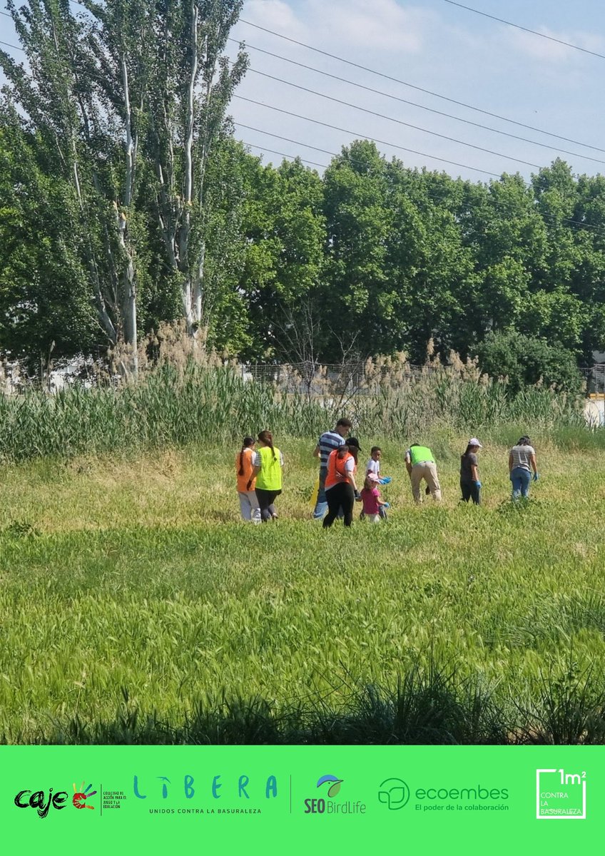colectivocaje's tweet photo. Toda la información recogida se integra en base de datos del Ministerio para  Transición Ecológica y Reto Demográfico (MITECO) y alimentará el ‘Barómetro de la Basuraleza’, el informe anual q LIBERA utiliza para analizar la evolución de los residuos y proponer medidas de mejora https://t.co/SsOKhtIoOy