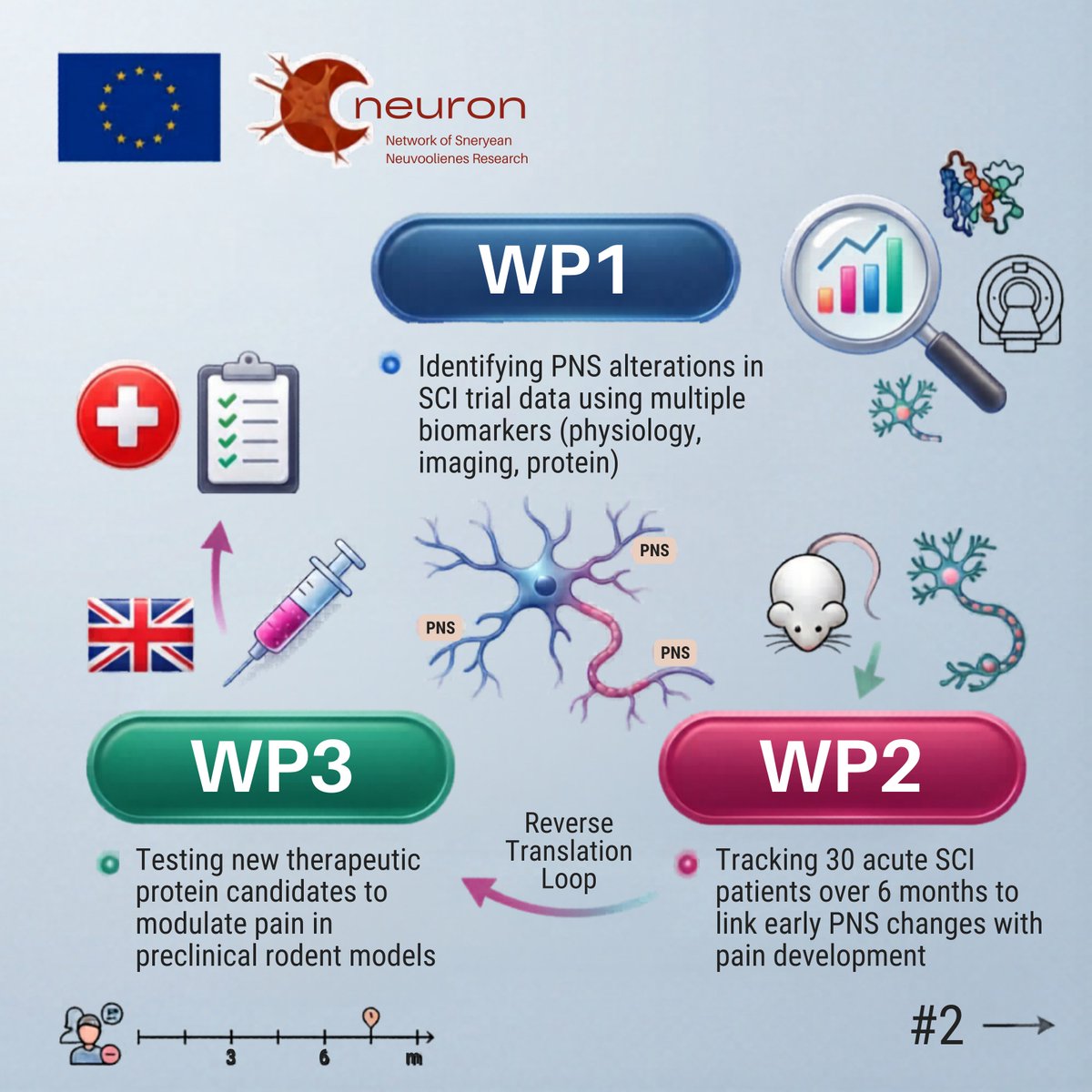 ERA Net Neuron tweet media