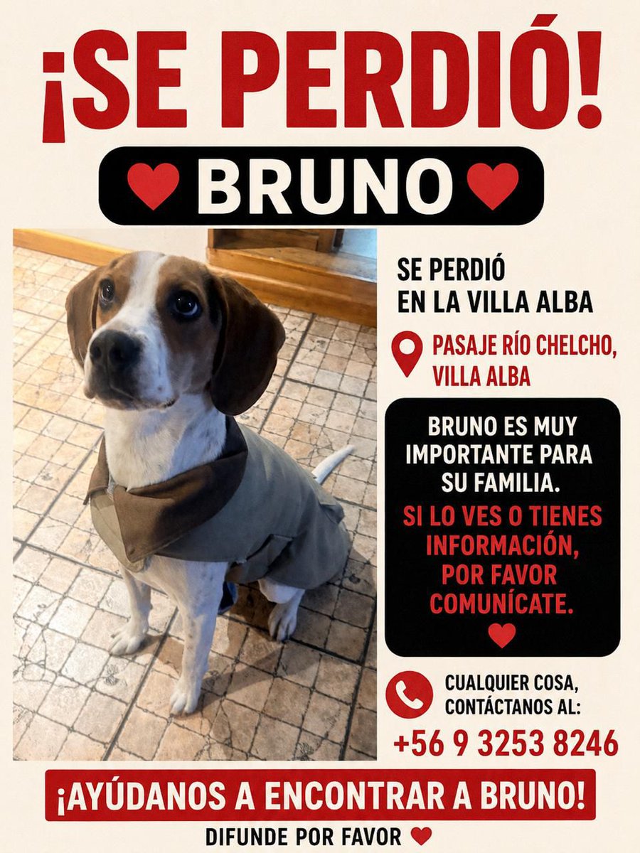 JimenaL09461189's tweet photo. Solo difundo. Por favor compartir @carolinapinoc @AnimalParaiso @KathySalosny @TVN @chilevision https://t.co/532cYx4CIR
