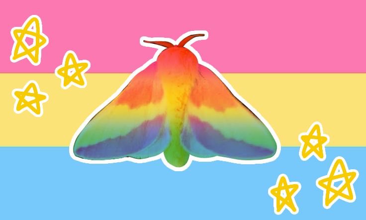 Moth tweet media