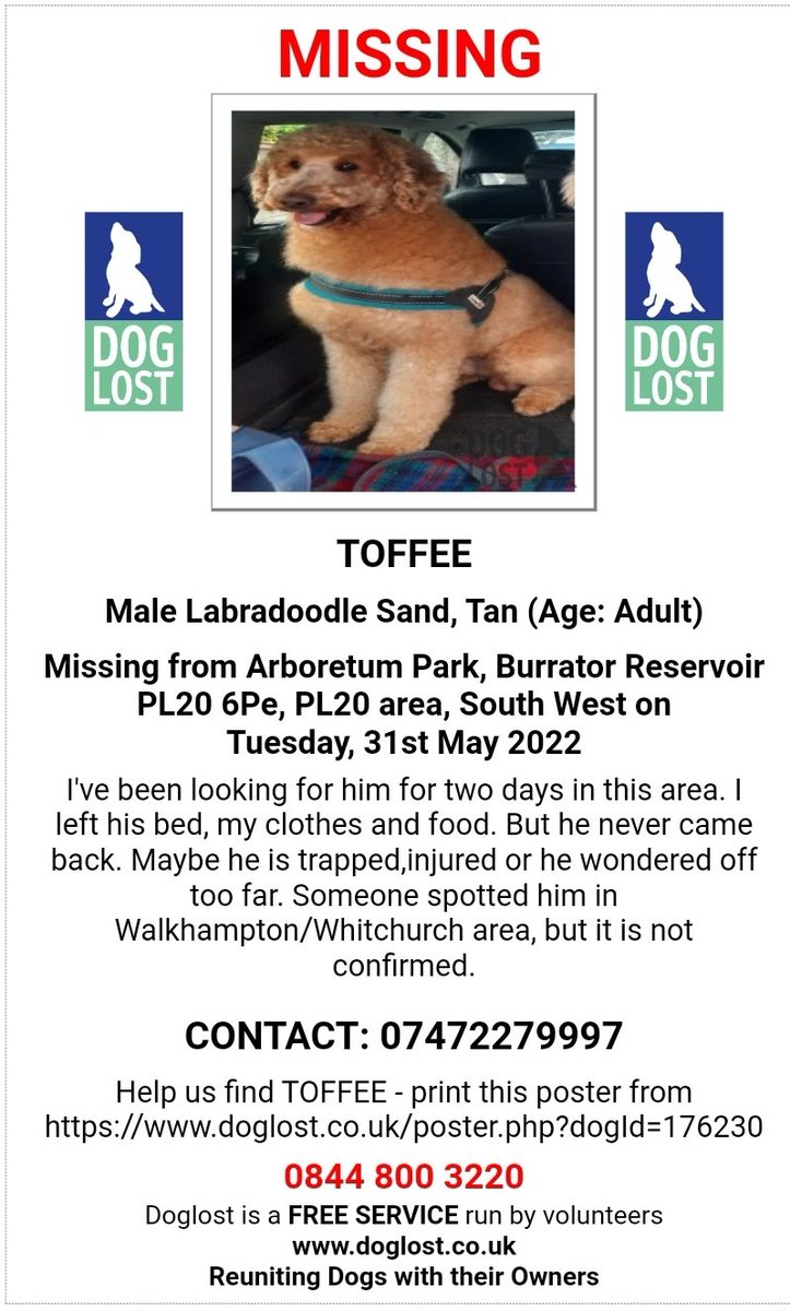 MissingPetsGB's tweet photo. It's been 4 years today, that Toffee was lost in Burrator Reservoir, Arboretum Park, Burrator #PL20
Toffee would now be 7 years old. Has anyone any information on this lovely boy, who is still #missing? #stolendoghour https://t.co/W2oS0HSApX