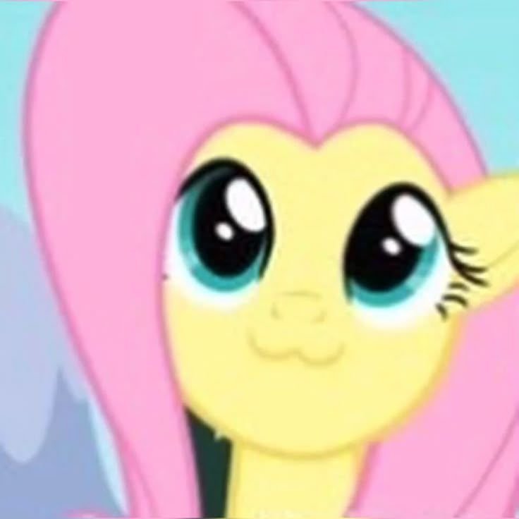 FlutterGoy tweet media