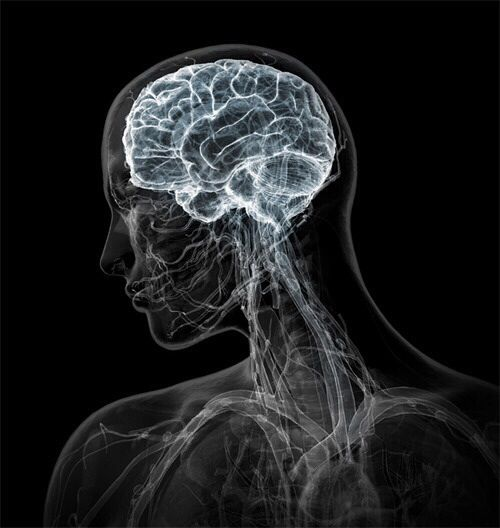 latestincosmos's tweet photo. 🚨: Research suggests that people who are slightly "delusional" about there future often achieve more and earn more than realists. https://t.co/iNeLOHqTDA