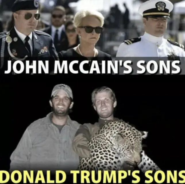 knock tweet media
