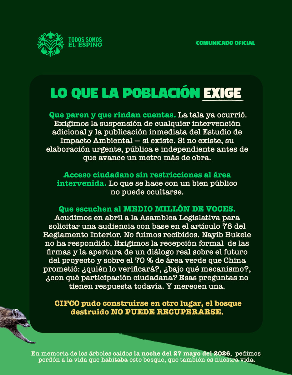 SomosElEspino's tweet photo. En memoria de los árboles caídos la noche del 27 mayo del 2026,  pedimos perdón a la vida que habitaba este Bosque, que también es nuestra Vida. 

Comunicado oficial, 31 de mayo de 2026. San Salvador, El Salvador. Parte 2 de 2.

El movimiento no se termina con la tala, el movimiento crece. ✊💚 

MOVIMIENTO CIUDADANO TODOS SOMOS EL ESPINO 
Por el agua, por la vida, por el futuro de El Salvador🇸🇻
🌳🦜🦝🌱 #salvemoselespino #todossomoselespino #ElEspinoVive

Link para leer el comunicado completo en nuestra Bio👆🏼💚