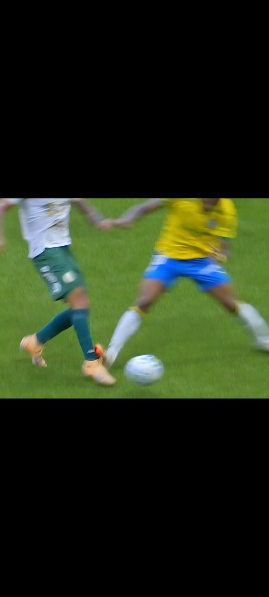 zezuObama's tweet photo. @Adelvansc @deprepalmeiras https://t.co/RBIKU0MUTX