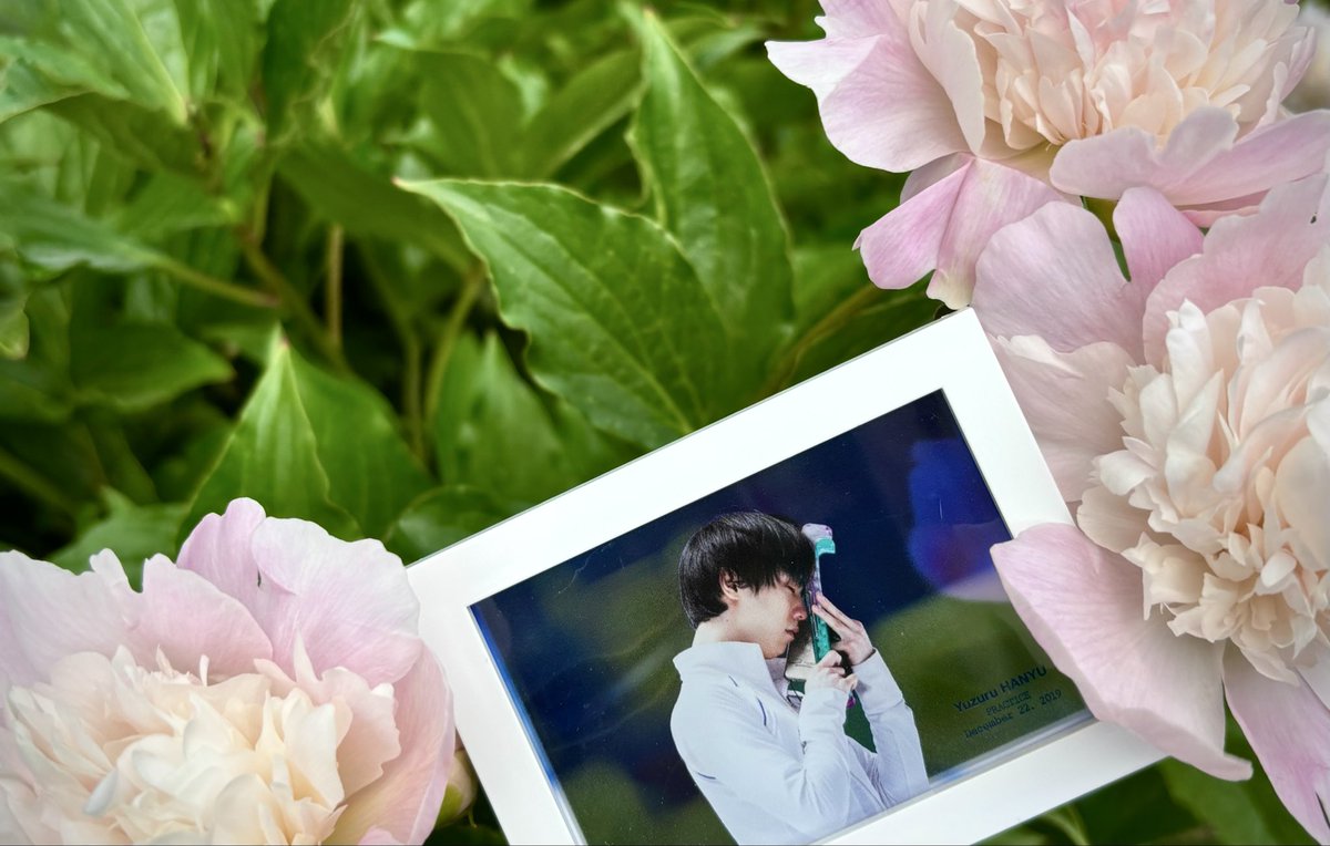 100Riri100m's tweet photo. 🐰🐰White🐰
羽生結弦さんが健やかでありますように

#羽生クラスタ植物部
#羽生結弦選手が今日も元気で幸せでありますように https://t.co/KxNi1eoMJB