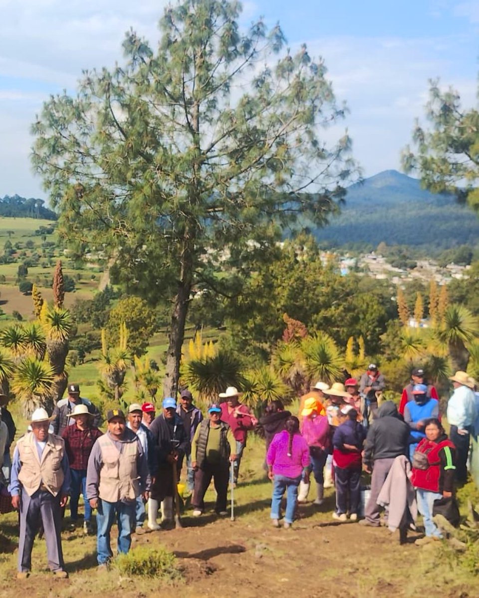 semvidamx's tweet photo. En Manuel Ávila Camacho, Nopalucan, Puebla, la CAC La Cima realizó trabajos de restauración para fortalecer el territorio y la vida comunitaria. Entre esfuerzo compartido, aprendizaje y un buen lonche, demostraron que cuidar la tierra también fortalece la comunidad. https://t.co/MI1I4lX5It