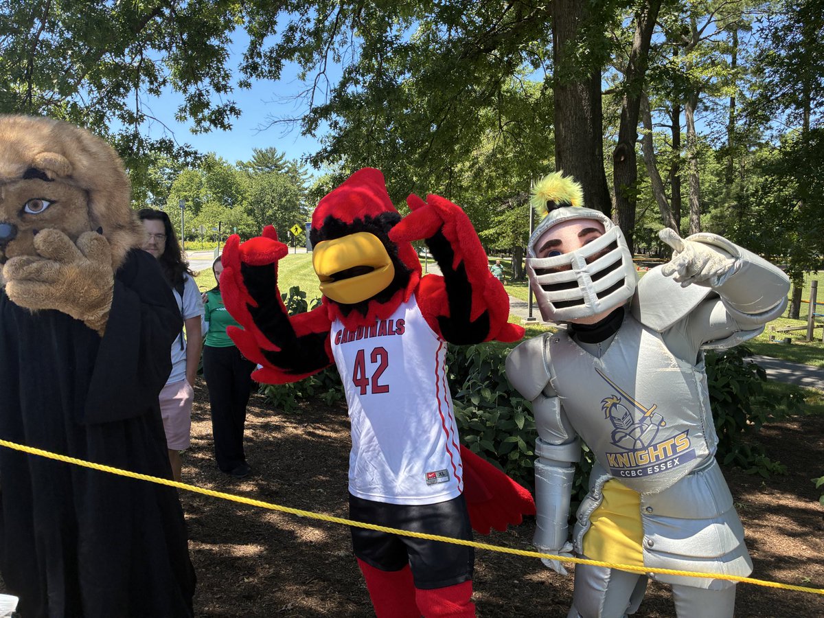 LetsPlayBallWin's tweet photo. Congratulations to @CCBCMD Class of 2026 all 3,000+ of you! You did it! https://t.co/aYYbfStr2e