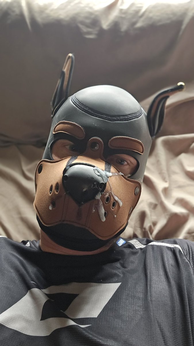 Jbb223sp's tweet photo. @Pup_Ferno Woof good boy...love getting the same treatment. https://t.co/btNu67S5mm