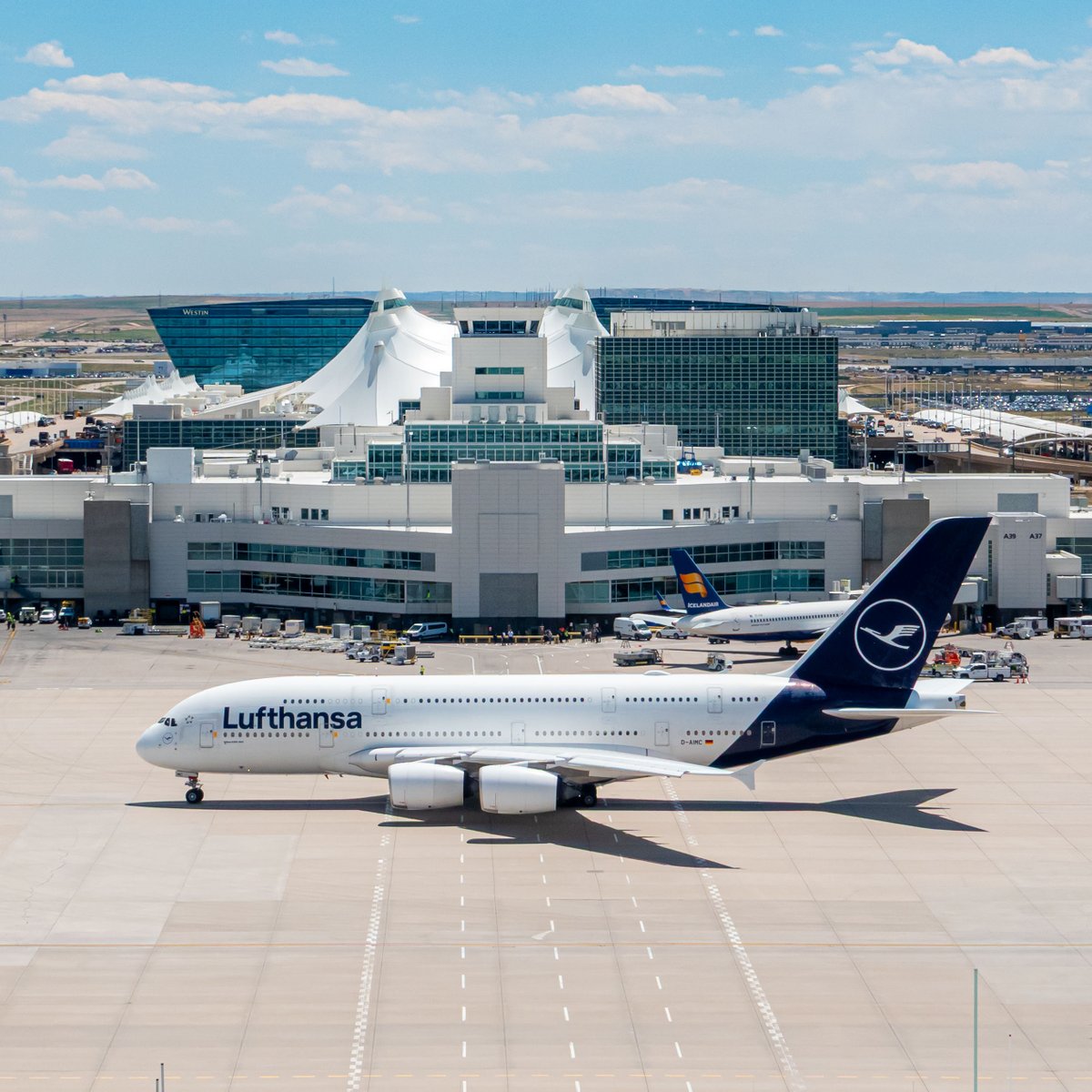 DENAirport's tweet photo. The countdown is on... just one month until the King returns. 👑 https://t.co/0byqSZmTiU