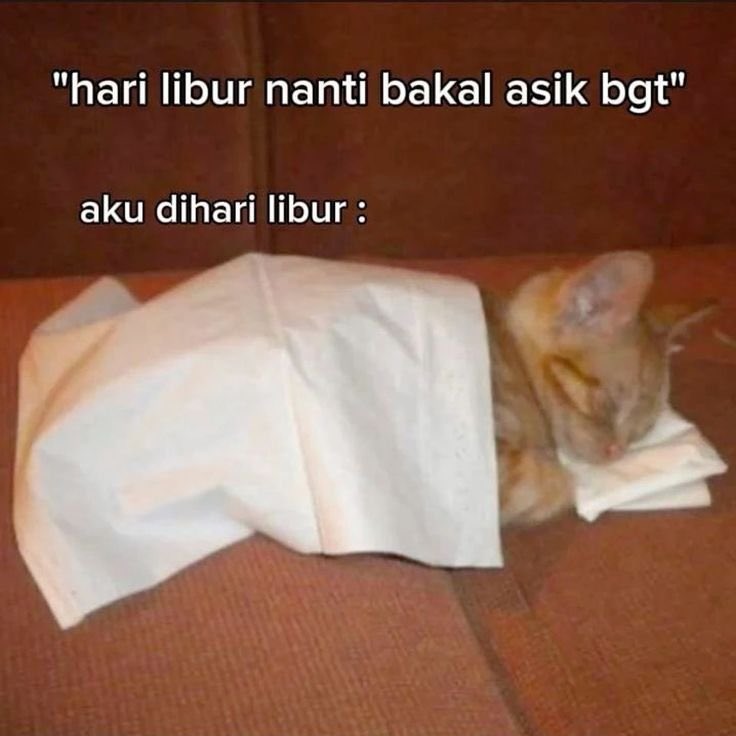 azkacoy's tweet photo. @sasa_azhara karyawan nya banyak yang libur
jadi pada milih tidur g sih 😴😴😴 https://t.co/EFI3Z0t8mq