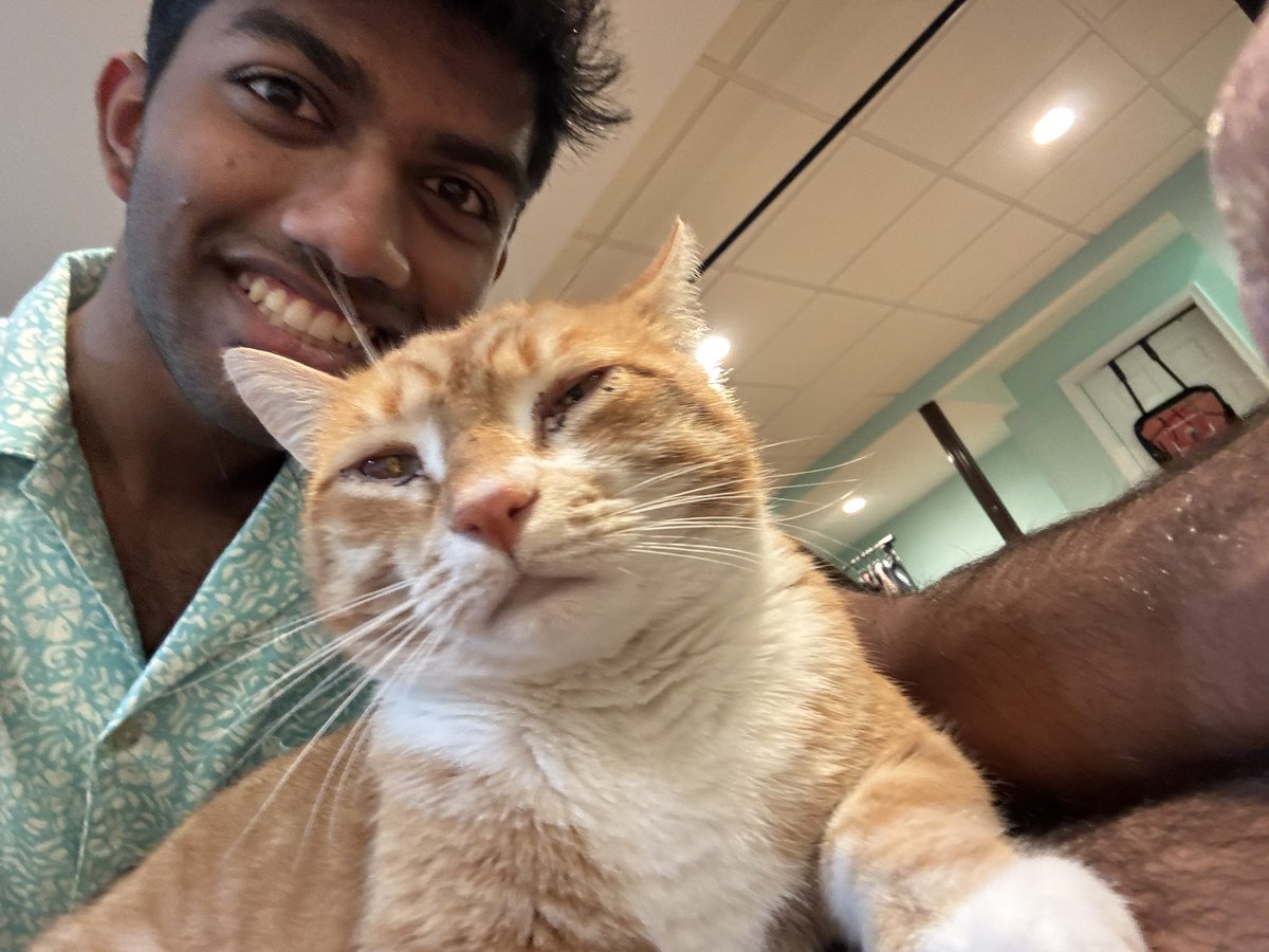 LokiFatAssCat's tweet photo. @NightArcher55 is a very good pillow, 10/10 would sleep on lap again https://t.co/LLr5j12Jrq