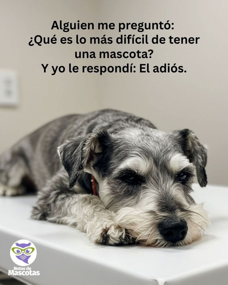 rey_latino33087's tweet photo. https://t.co/Jx5RTYIlPG