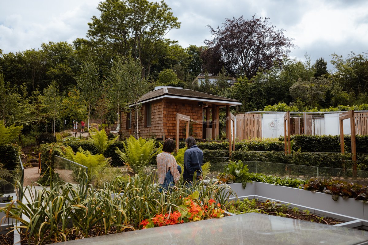 apuseni_count's tweet photo. OmVed Gardens https://t.co/nmXsU5XBGk