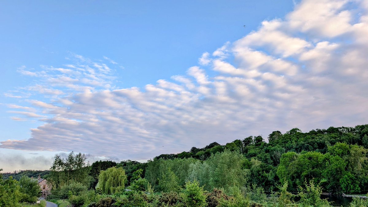 pacrabtree's tweet photo. This evenings cloudscape from the banks of the River Eden #Cumbria https://t.co/hGQWroDzO2