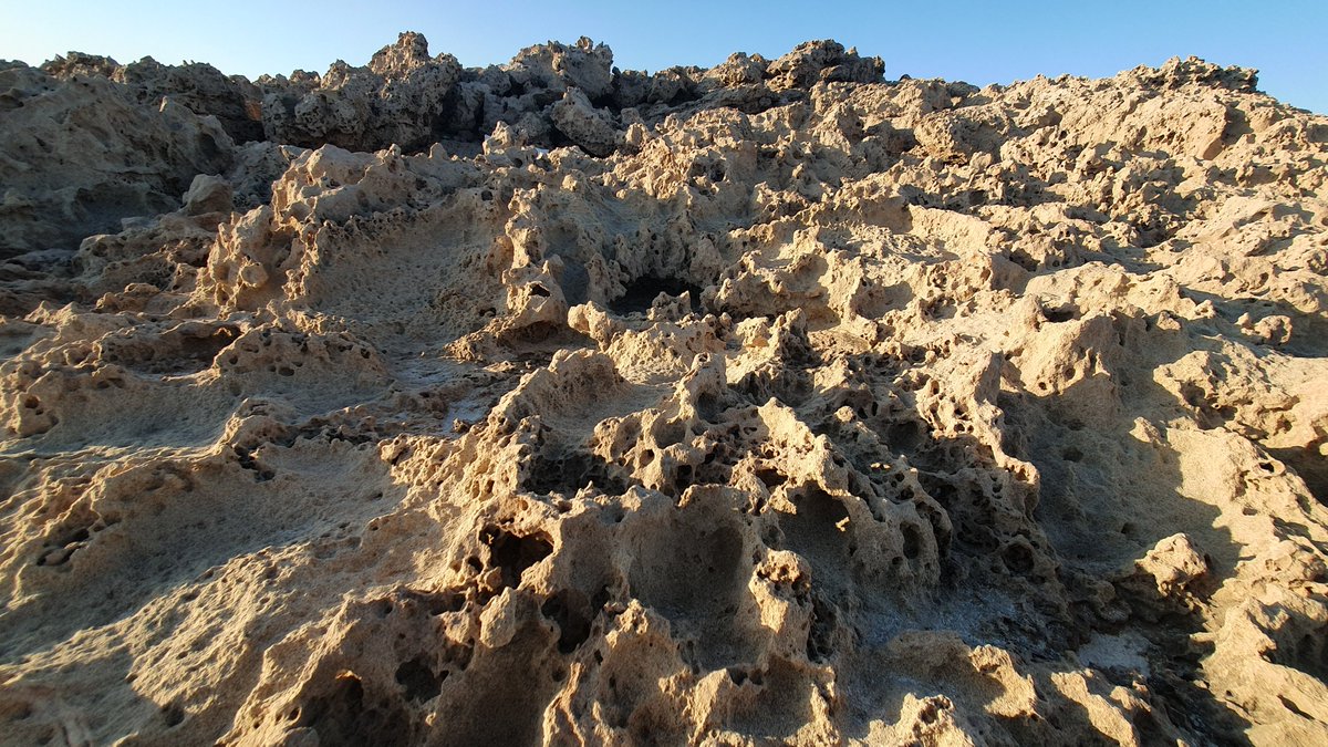 rawlph's tweet photo. 'Tafoni' on Cyprus’ south coast. These holes formed in ~4-million-year-old calcarenite (Athalassa Member) through salt crystallization. Sea spray soaks into the porous limestone, evaporates, and salt crystals slowly break the rock apart from within. https://t.co/mW9iKGur9L