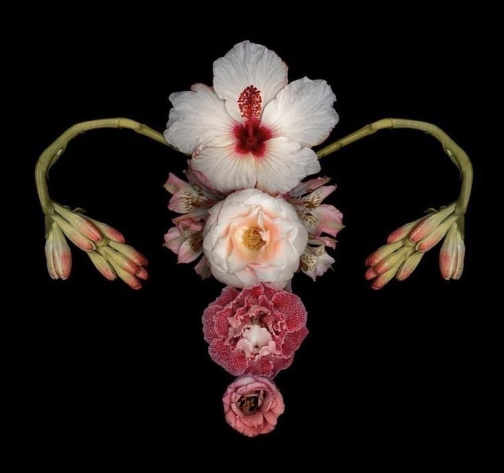 ангел𓂀𓋹🪽𖤓 tweet media