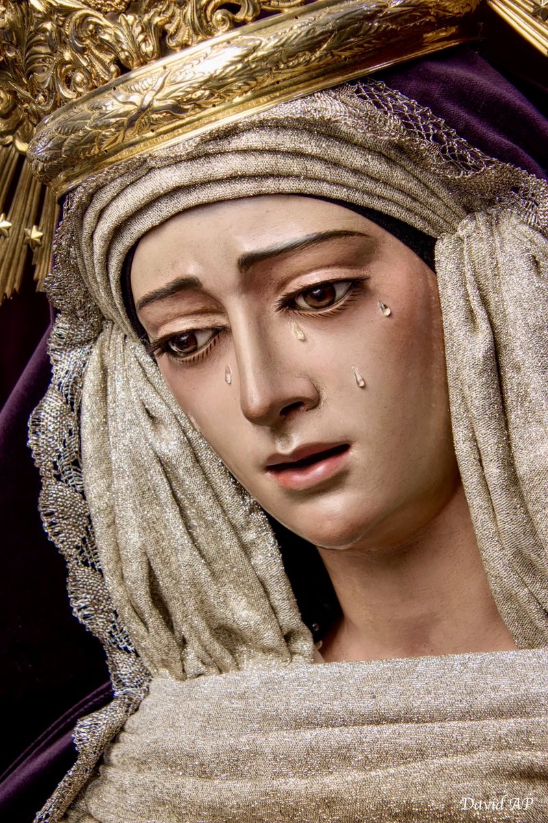 PilatusEgoSum's tweet photo. Desde la Roma Sevillana, desde la Sevilla Romana, buenas noches a todos los cofrades del mundo. Soñad con la Gloria.
📷 David A. P.
#HermandadDelAmor
#Amor
#Socorro
#TDSCofrade
#Glorias2026
#MesDeMaria
#BuenasNoches https://t.co/CCqwk6Q07l