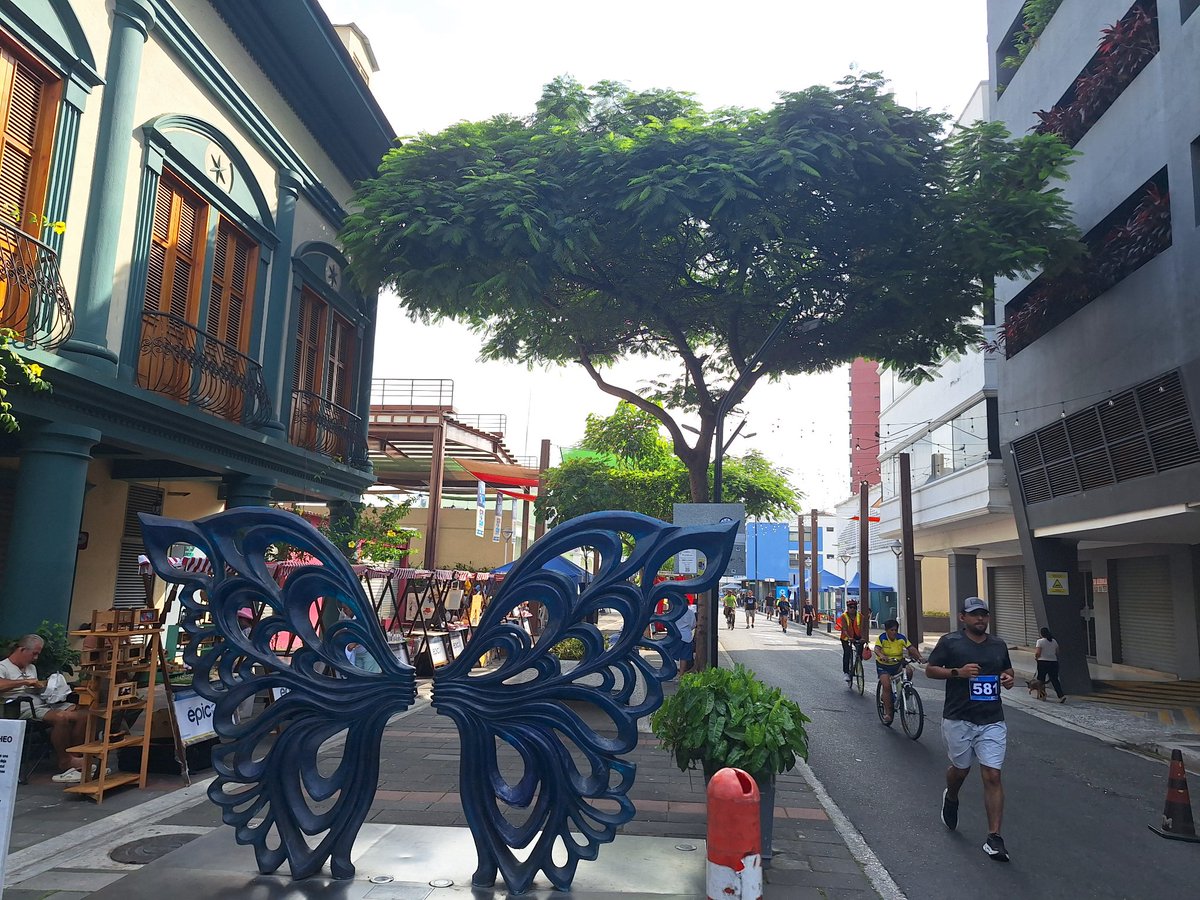 IFeraud's tweet photo. Recorriendo el centro de mi hermosa ciudad #RutaCentro #CiudadDeTodos #AsiSeHaceGuayaquil https://t.co/ZDrPBA0HN3