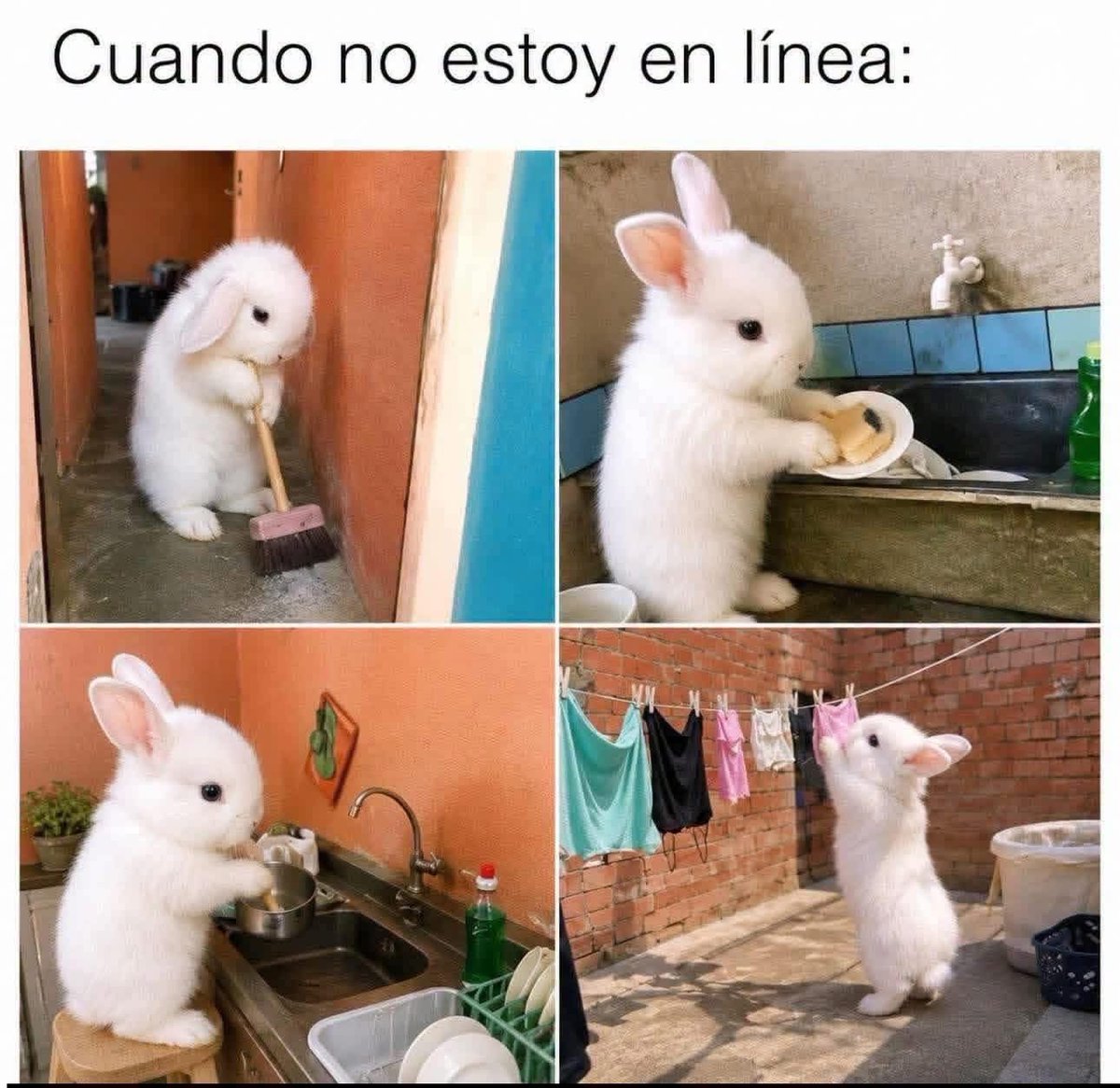 eder_rocker's tweet photo. Soy en este domingo 😅 https://t.co/y4zfpyi7dX
