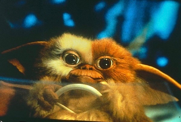 EugWSerra's tweet photo. On June 8, 1984, GREMLINS was released! #Gremlins #Gizmo #Stripe #ZachGalligan #PhoebeCates #JoeDante #DickMiller #HoytAxton #FrancesLeeMcCain #PollyHolliday #HowieMandel #KeyeLuke #JudgeReinhold #FrankWelker #PeterCullen #MarkDodson #StevenSpielberg #JerryGoldsmith #Fangoria https://t.co/XwRvABoSRX
