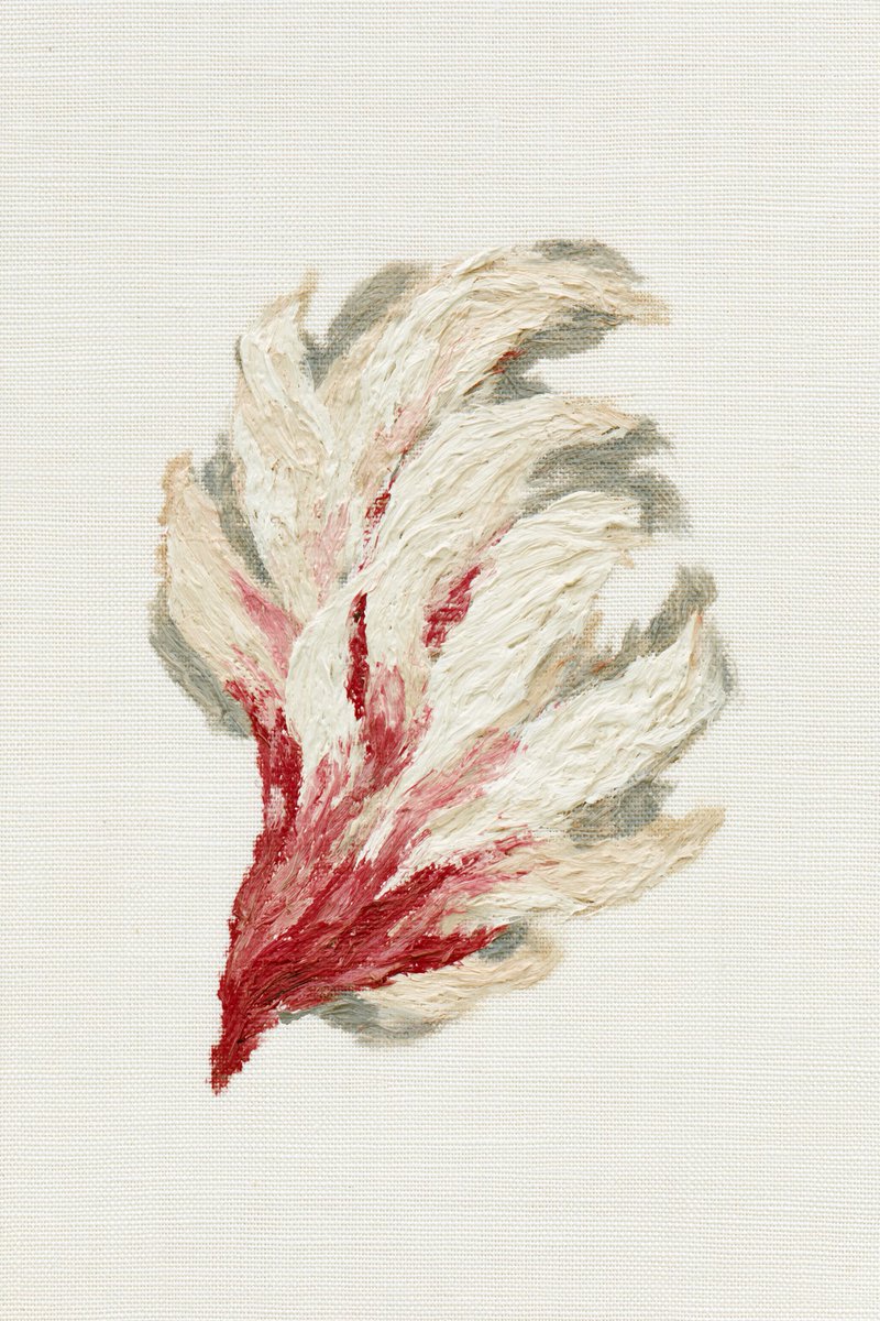 coldepic0's tweet photo. dying flower https://t.co/QXjyRPN9gE