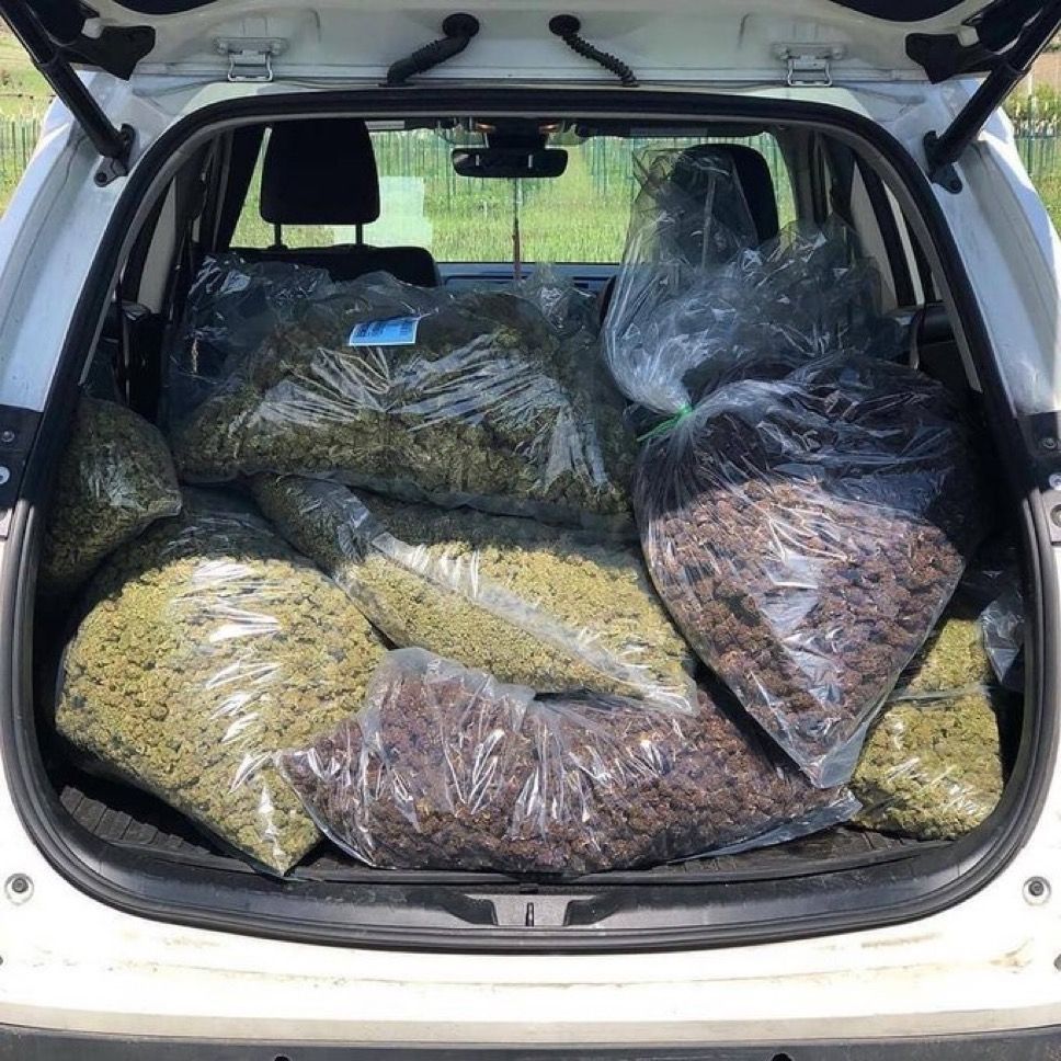 WeedPorns's tweet photo. How I’m packing for vacation https://t.co/DeF0innGqq