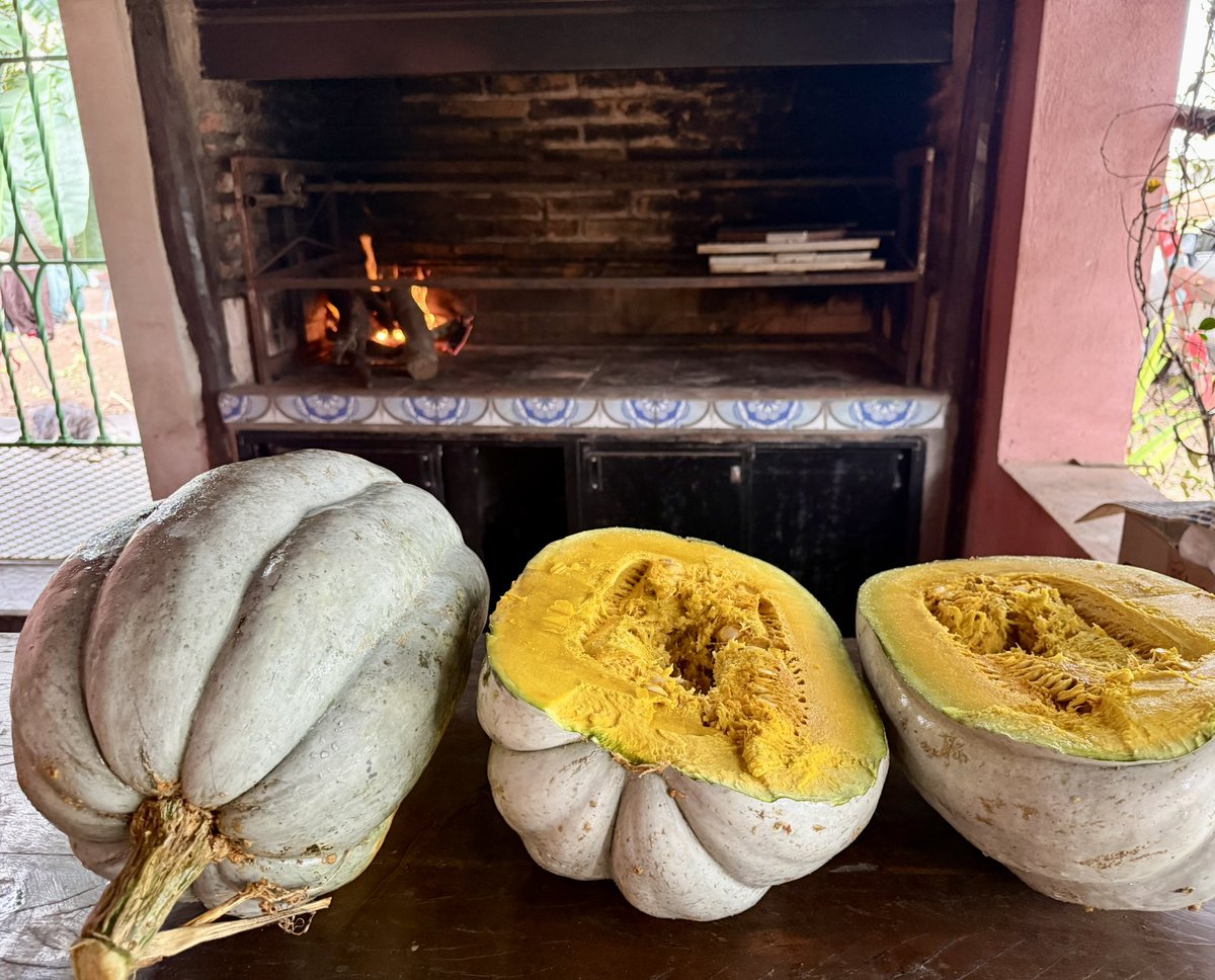 OrtizPecho's tweet photo. Hoy tocó hacer Locro bien salteño, zapallo plomo y olla de barro al fuego 🔥, nada puede fallar. https://t.co/5QFFFjIWIG