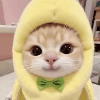 Sami8rt's tweet photo. https://t.co/cAT25gtkS3