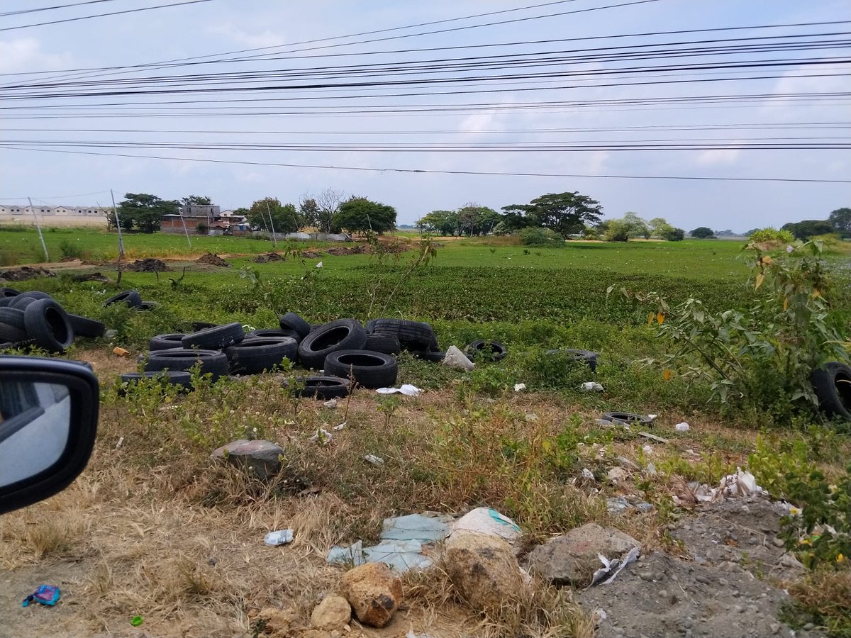 Rycazap's tweet photo. Botadero de neumáticos usados en la curva antes de llegar al Colegio Tejar en Vía Salitre. Pilas @ConcesionGuayas @PrefGuayas @CTEcuador @AlcaldiadeDaule, también verán como 4 puntos de botadero de escombros desde Arboletta. @ComunidLaAurora https://t.co/W5fGyo2owj