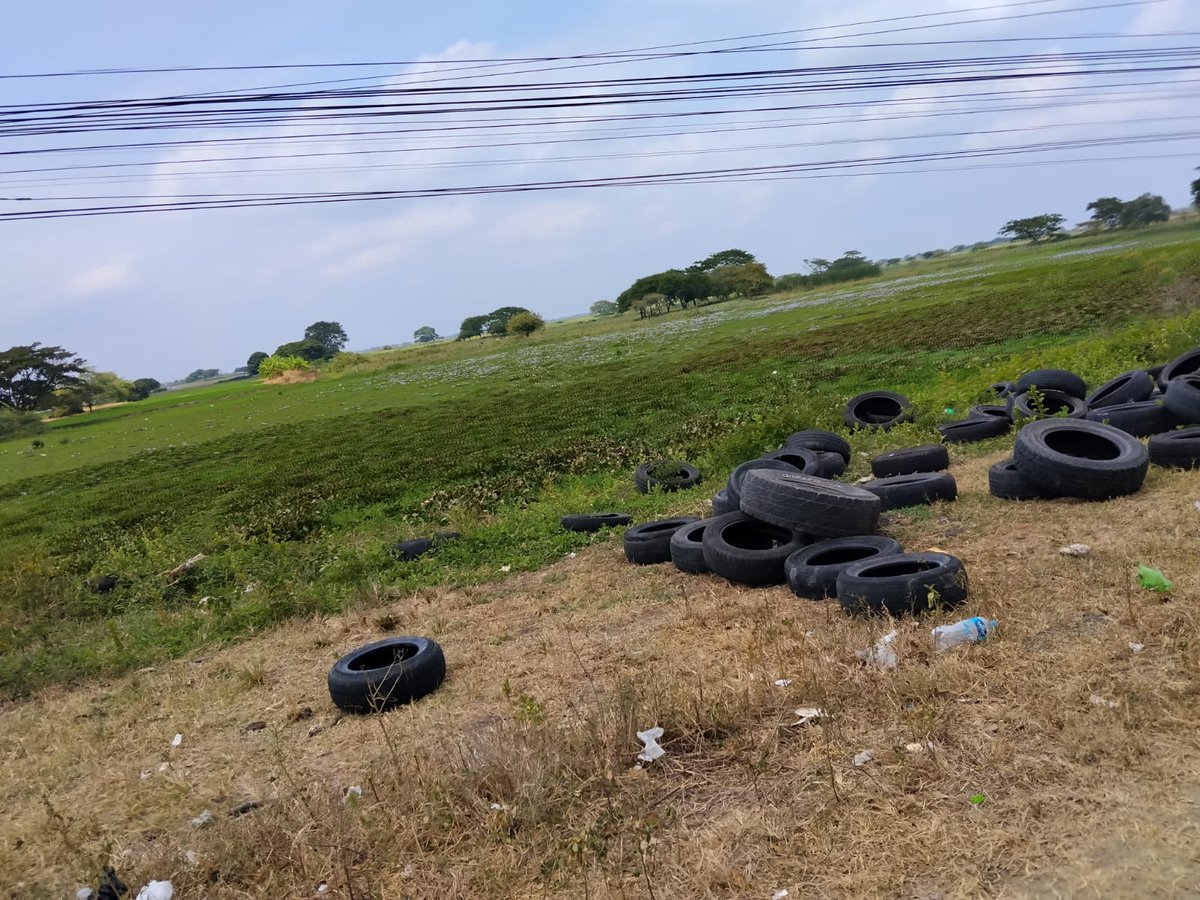 Rycazap's tweet photo. Botadero de neumáticos usados en la curva antes de llegar al Colegio Tejar en Vía Salitre. Pilas @ConcesionGuayas @PrefGuayas @CTEcuador @AlcaldiadeDaule, también verán como 4 puntos de botadero de escombros desde Arboletta. @ComunidLaAurora https://t.co/W5fGyo2owj