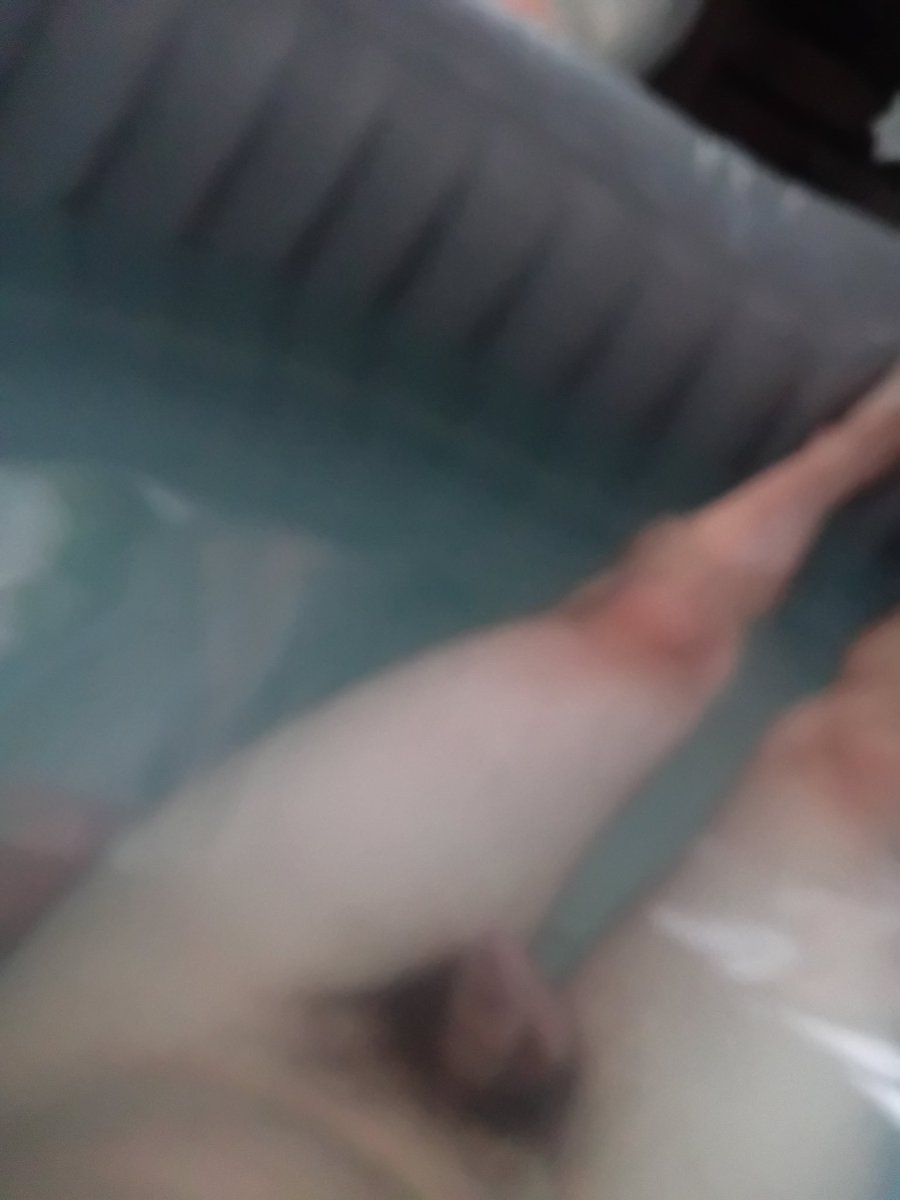 danielcbird's tweet photo. Naked in hot tub https://t.co/wSUypYzxtt