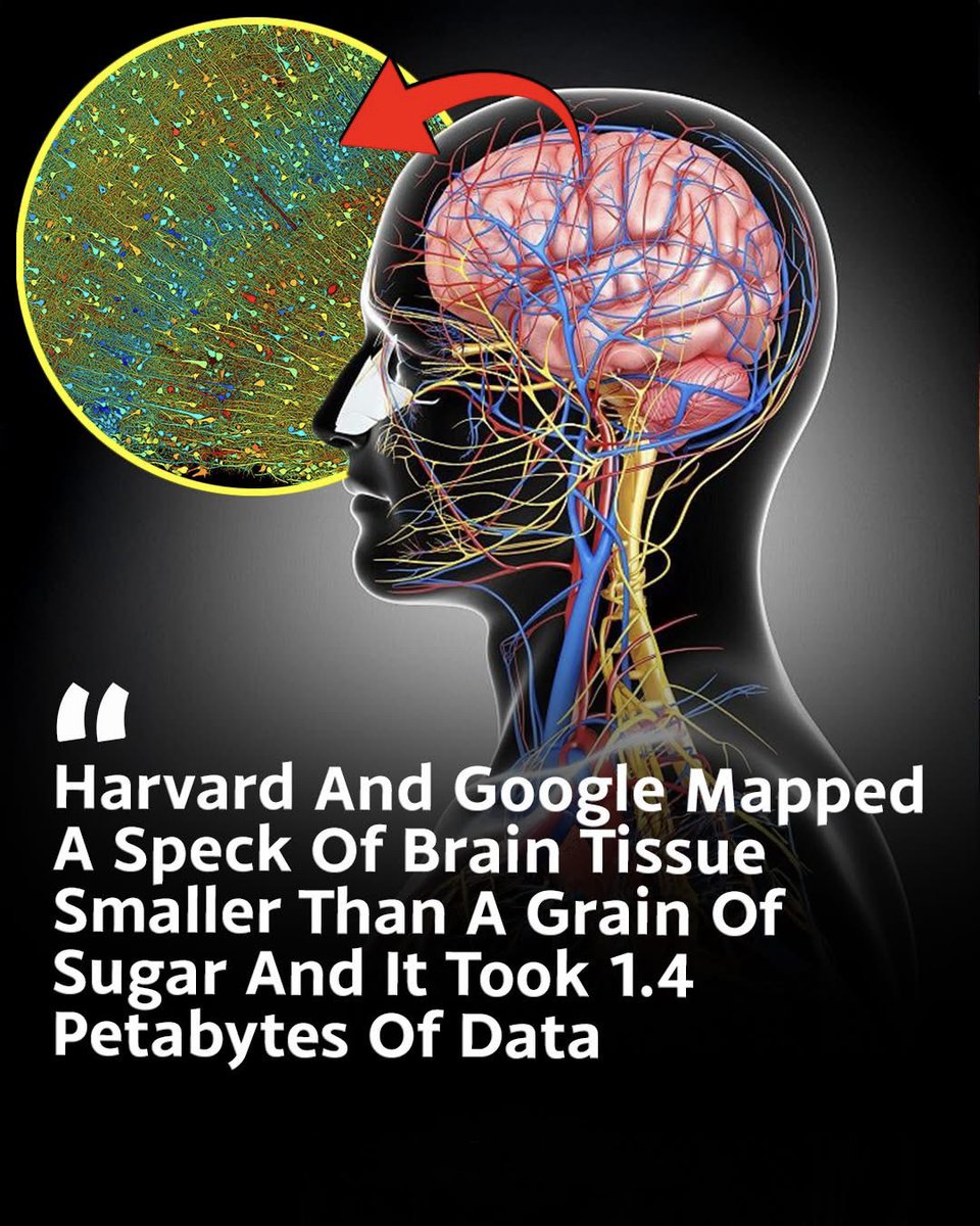 NextScience's tweet photo. 🧠 SCIENTISTS JUST UNLOCKED A TINY PIECE OF THE HUMAN BRAIN

A brain sample smaller than a grain of sugar revealed something astonishing: 57,000 cells, 150 million connections, and neural structures never seen before.

Using powerful microscopes and AI, researchers from Harvard and Google created the most detailed 3D brain map ever made. The discovery shows just how incredibly complex the human brain really is—and raises a fascinating question:
If this much is hidden in one tiny speck, what secrets remain in the rest of the brain?

Source: Google Research & Harvard University
