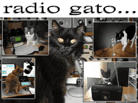 coolfunnnn's tweet photo. foto monteaje creado con phofto pea1!!! radio gato!! https://t.co/jByl42LP5i