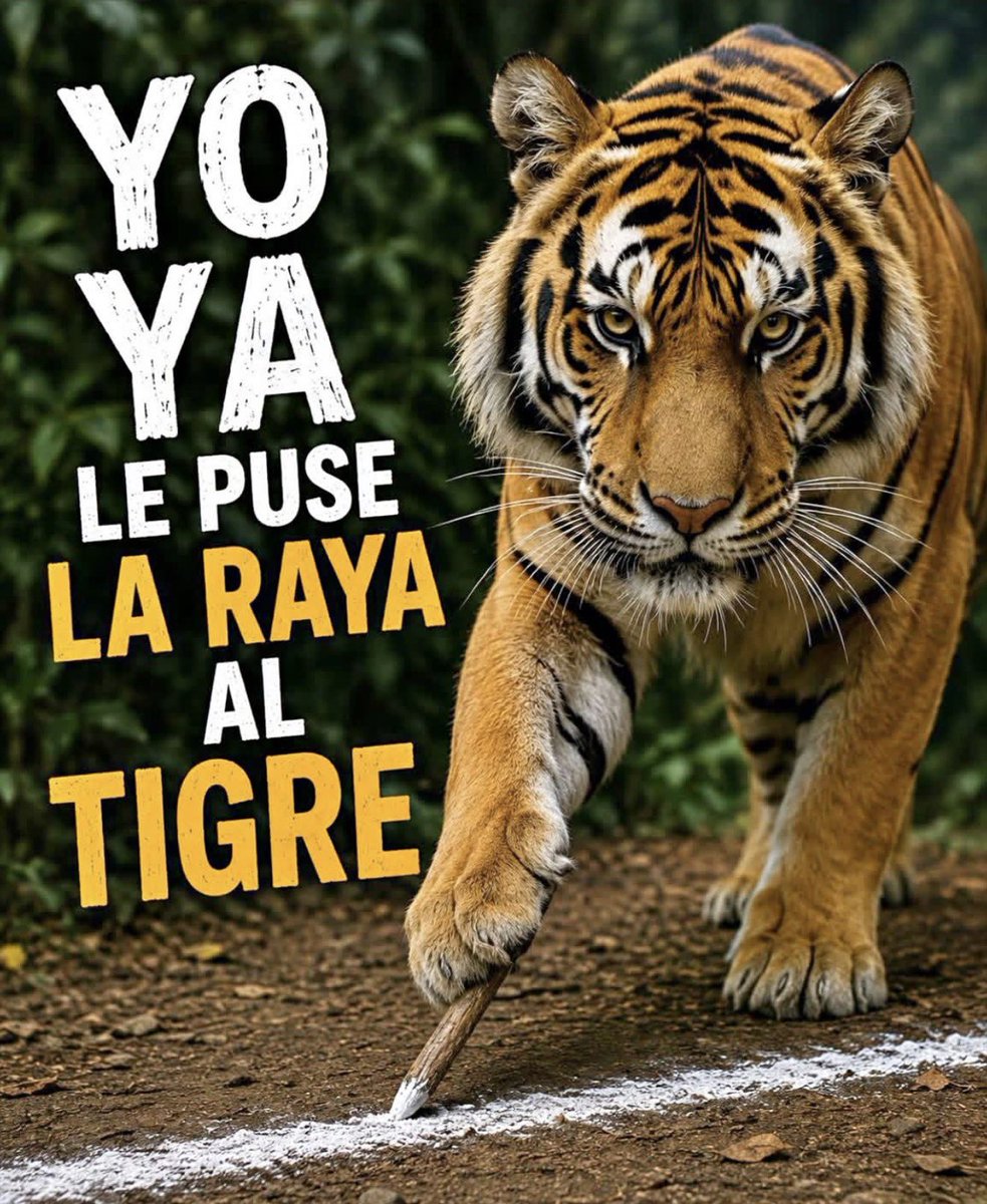 cat_rendon's tweet photo. @petrogustavo ¡Así es! Por eso mismo firmes por la patria. El mañana es nuestro y ya se le puso la raya al tigre. ¡A defender el futuro de Colombia! 🇨🇴💪 https://t.co/pcq58SHDNH