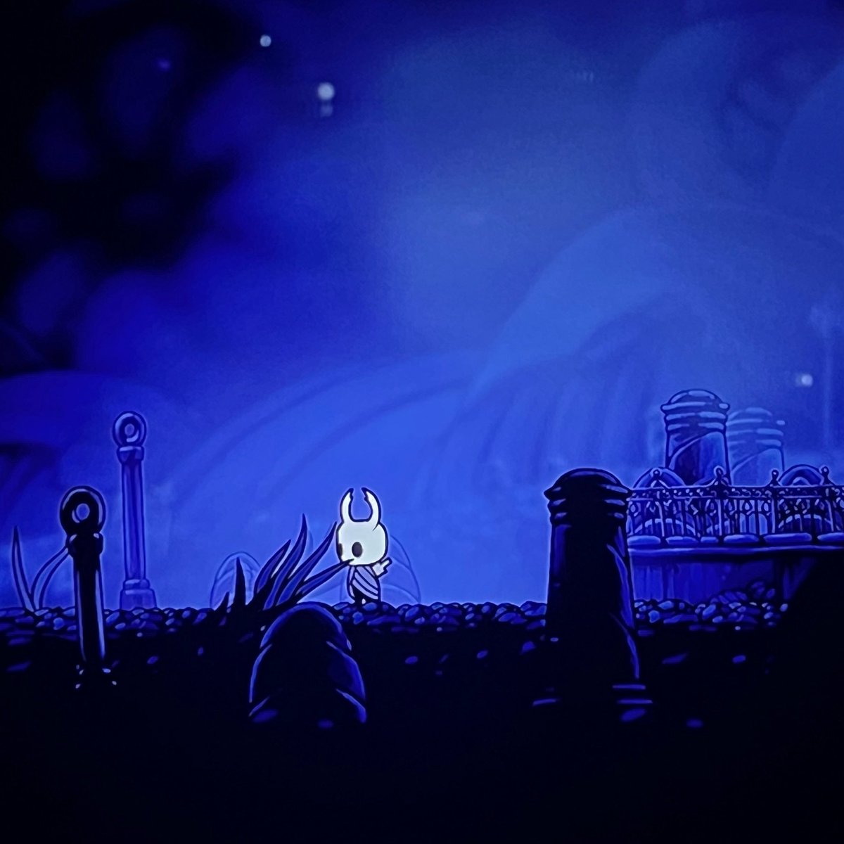 bambd0e's tweet photo. so tiny https://t.co/s7aPkjxZ9k