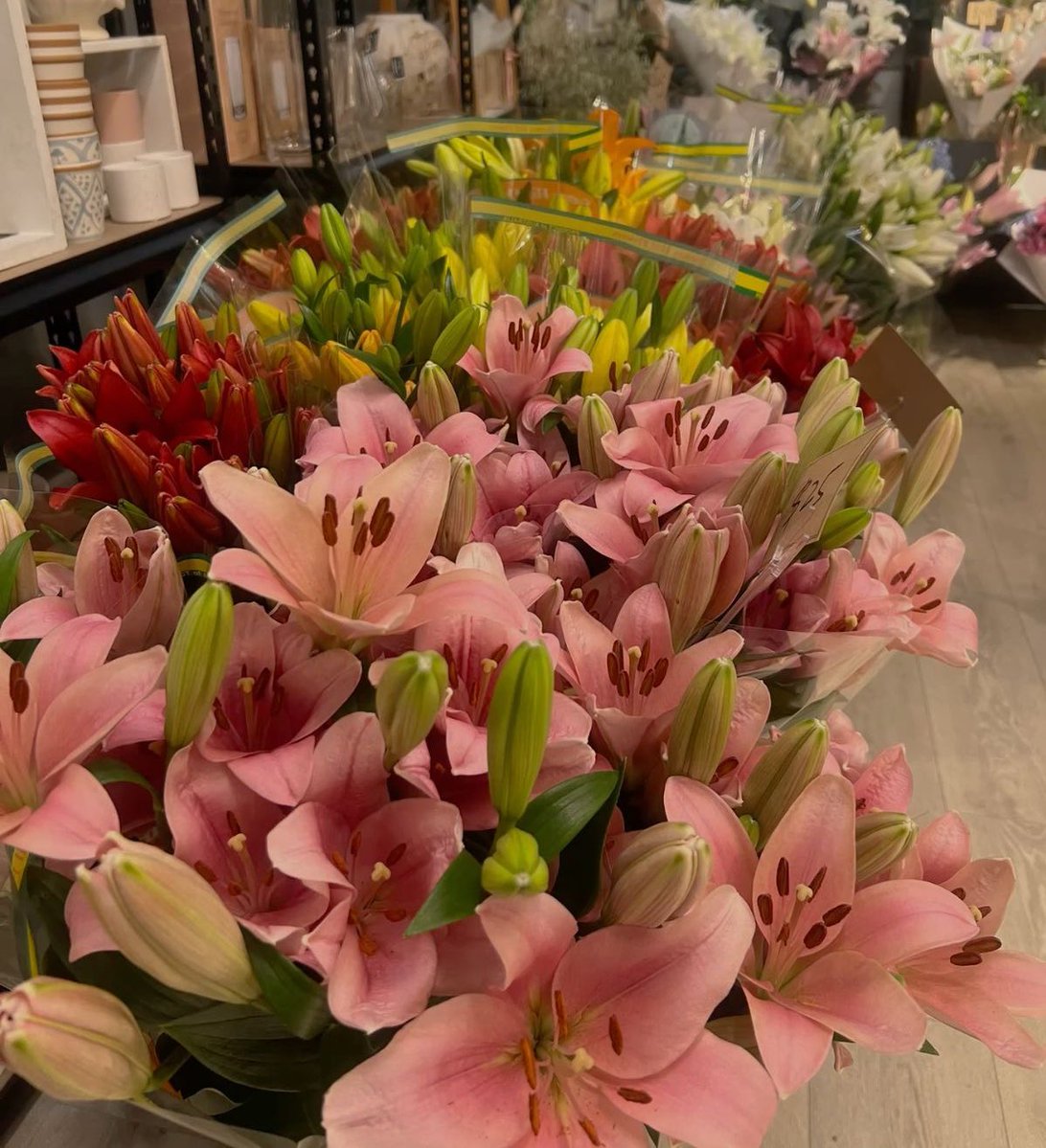 𝑓𝑙𝑜𝑟𝑎 tweet media