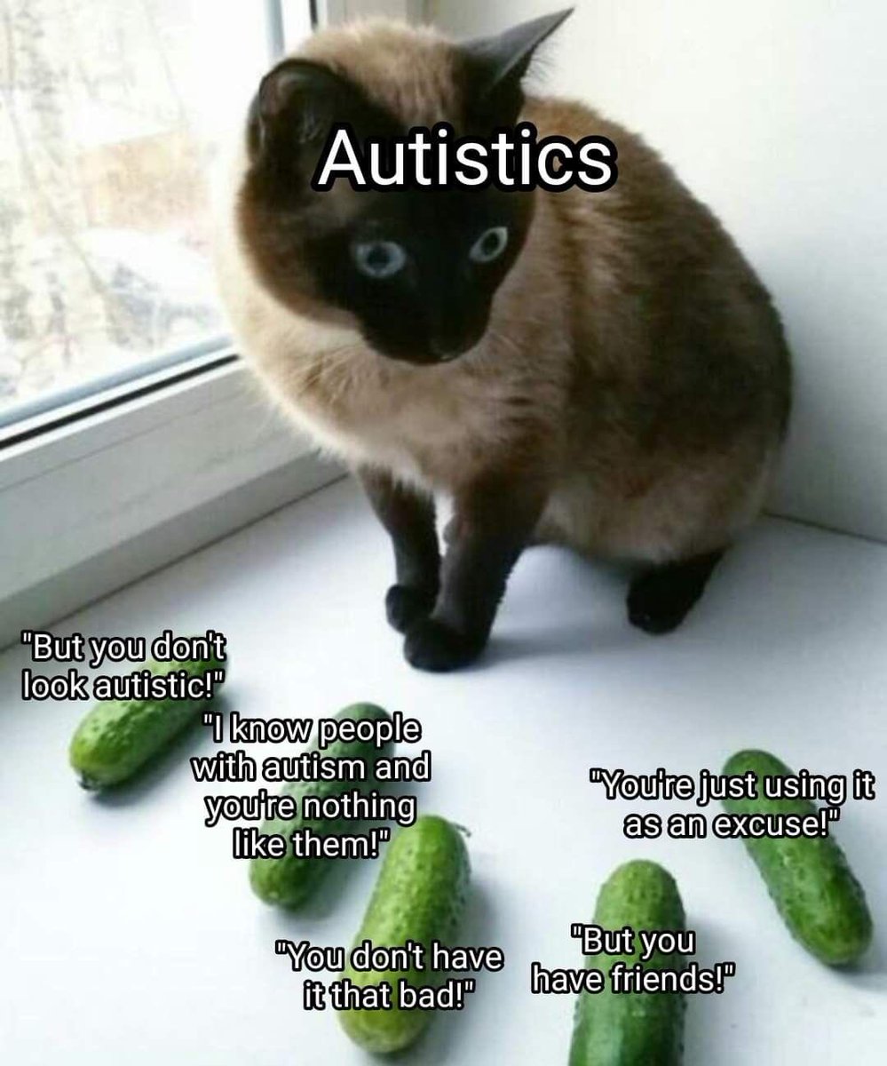 Autistic_Lauren's tweet photo. https://t.co/TlYD7bx9xB