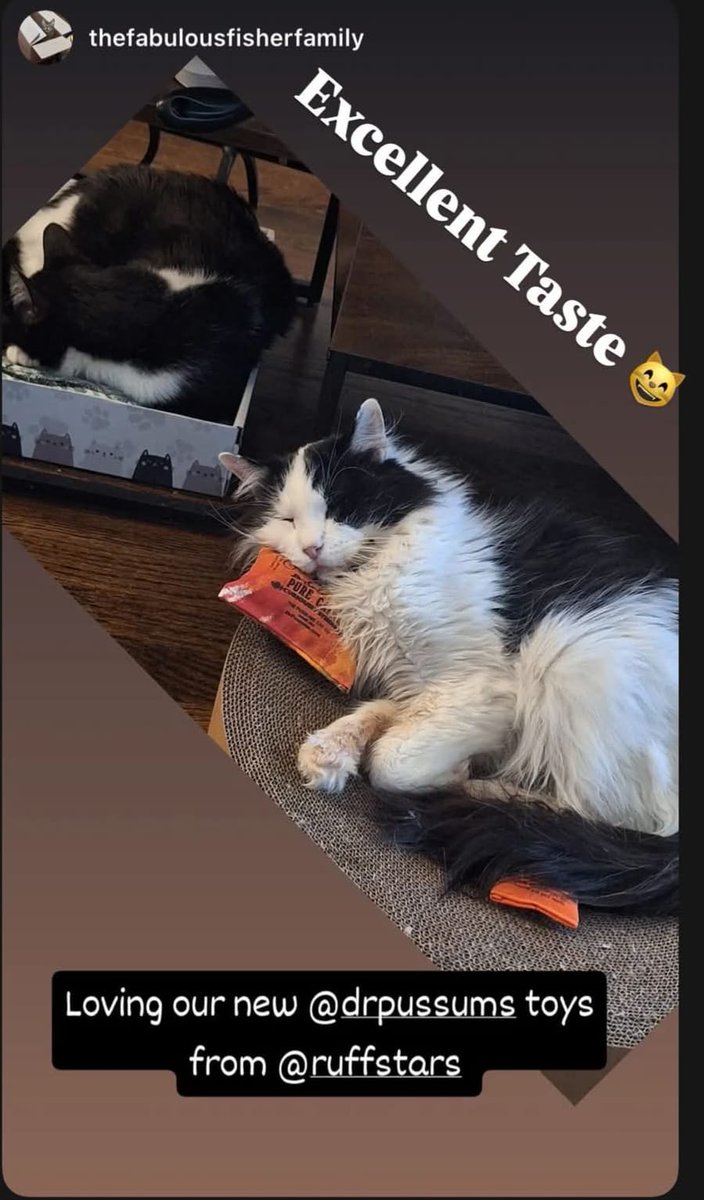ruffhauspets's tweet photo. Excellent Taste https://t.co/K40iIg5ln8