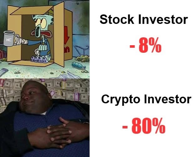 Tooly tweet media