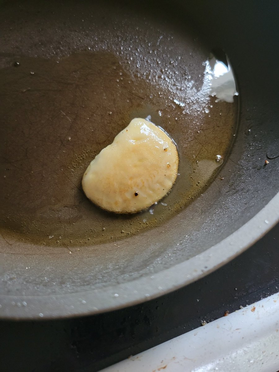Xalohit's tweet photo. I went foraging and found oyster mushrooms so I cooked one and ate it and it was really yummy actually! https://t.co/UDSrzKbILY