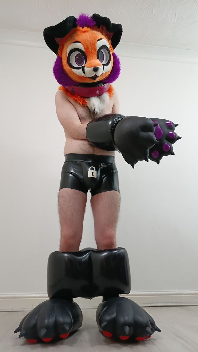 Squeakytoy_1's tweet photo. This is so not fair I didn't do anything wrong~ ok fine maybe i pawed off without permission but that doesn't fit the punishment i can't move in these cuffs and these paws are so heavy and tight and this dam null is driving me crazy~ mmm

🐾: @pumpld 
📸: @zen_fur https://t.co/Ivr83J5UQE