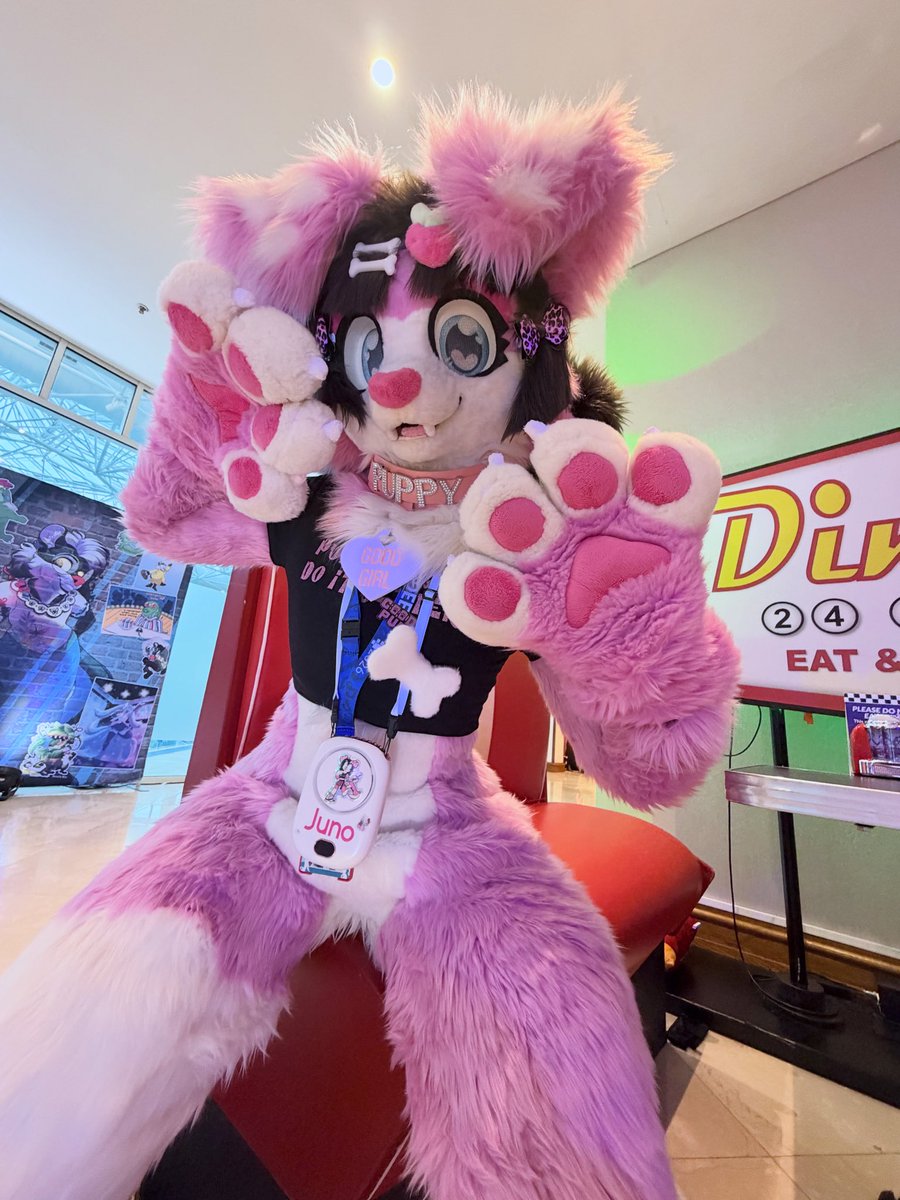 JunoBarkz's tweet photo. Paws up!

#furry 
#femalefurry
#kemono https://t.co/Jte3YZ5js8