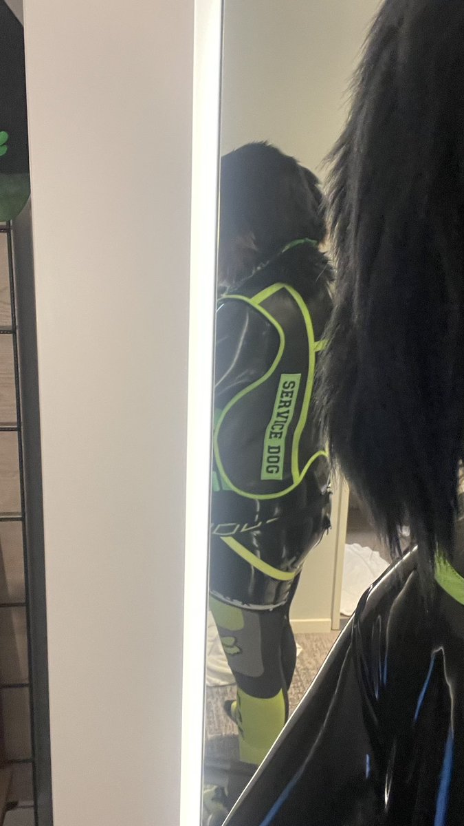 BernieFansAD's tweet photo. New gear fit I wore for the gear party at Cfz ‘26!

Wanna tug the service Bernie around?~ https://t.co/dbxnaltDAe
