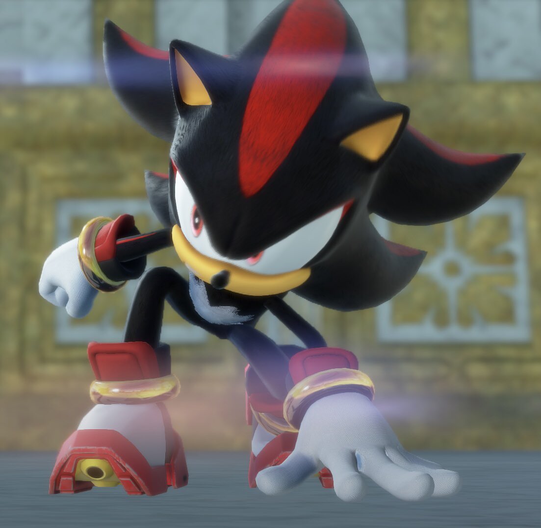hearts2shadow's tweet photo. This is Shadow’s favorite pose to do after a fight https://t.co/9gzGZpkxMj